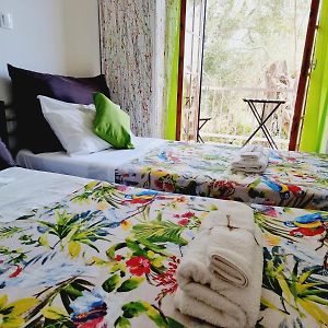 Economy Zimmer mit zwei Einzelbetten